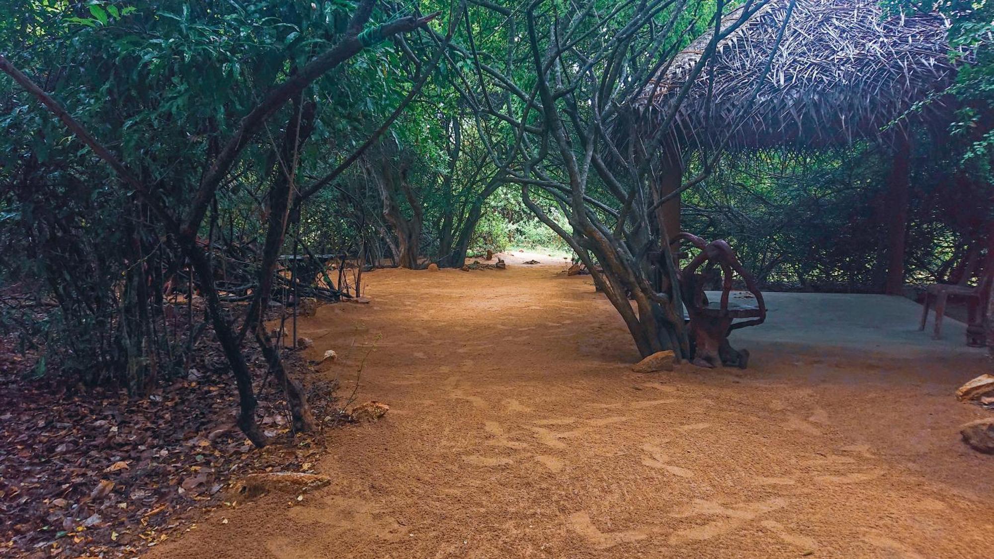 Hotel Yala Podi Hoona Bush Camp Zewnętrze zdjęcie