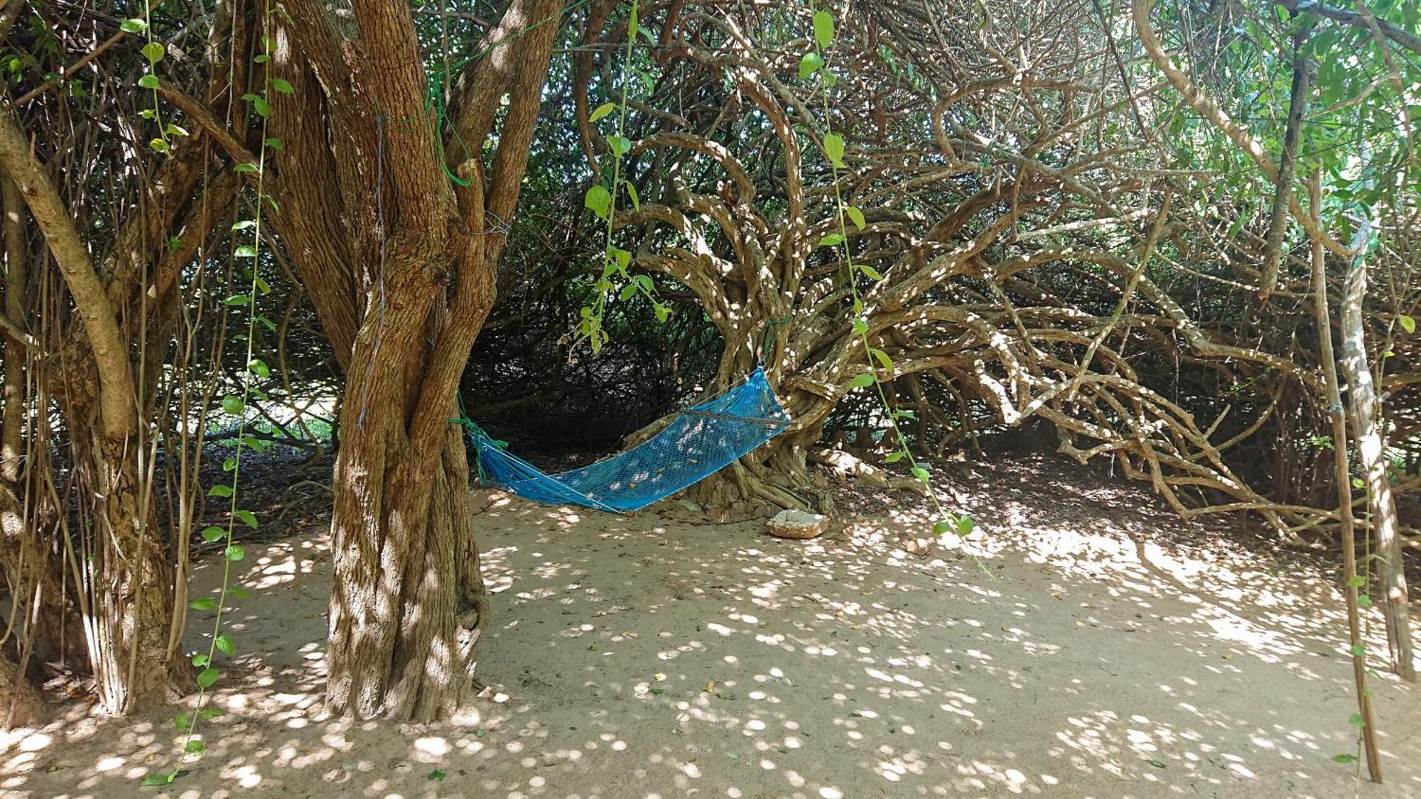 Hotel Yala Podi Hoona Bush Camp Zewnętrze zdjęcie
