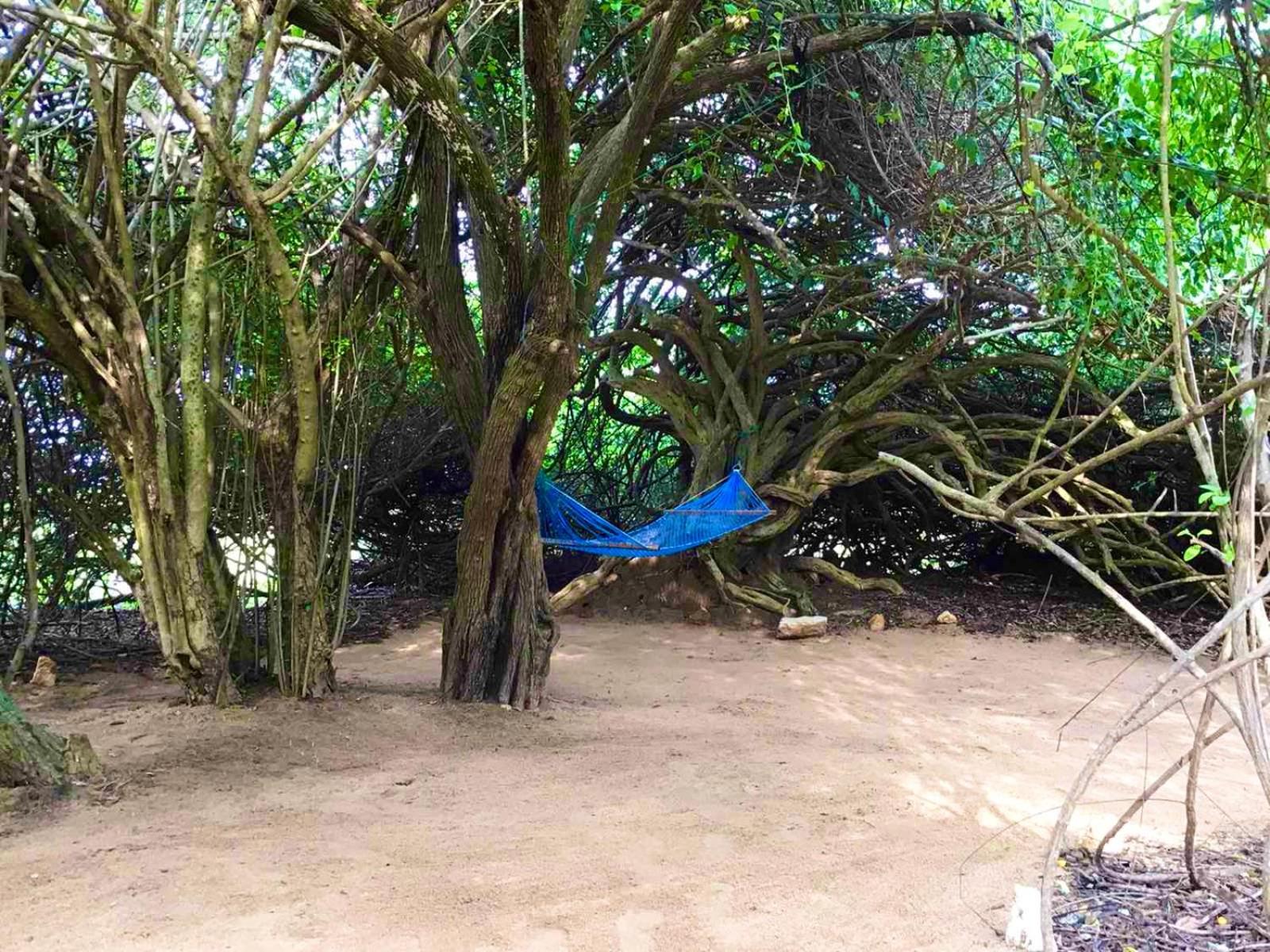 Hotel Yala Podi Hoona Bush Camp Zewnętrze zdjęcie