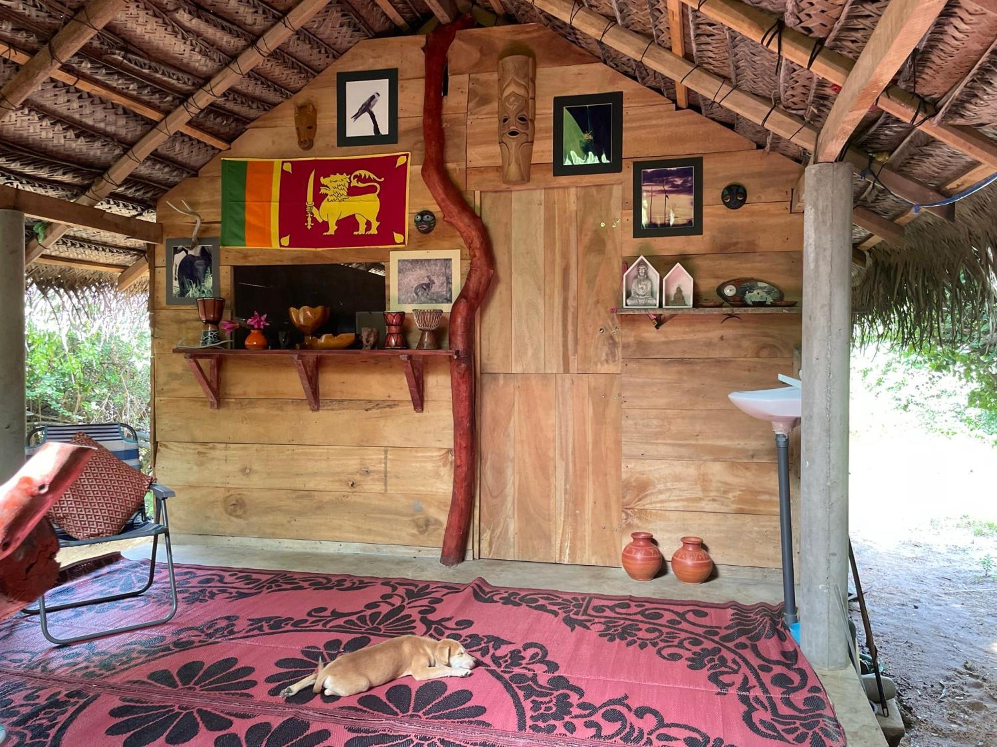 Hotel Yala Podi Hoona Bush Camp Zewnętrze zdjęcie